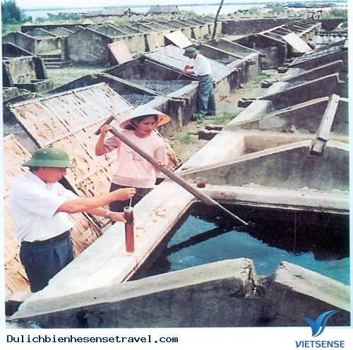 Du Lịch Cửa Lò: Những Món Ăn Ngon Khó Cưỡng (P1) - Ảnh 6 Du Lịch Cửa Lò: Những Món Ăn Ngon Khó Cưỡng (P1) - Ảnh 6