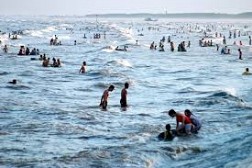Khám Phá Biển Quất Lâm