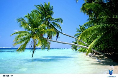 Những bài tắm tuyệt đẹp hút hồn du khách ở phú quốc Những bài tắm tuyệt đẹp hút hồn du khách ở phú quốc
