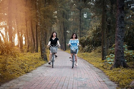 Biển Hải Hòa Tĩnh Gia