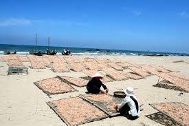 Biển Hải Hòa Tĩnh Gia