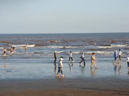 Khám Phá Biển Quất Lâm