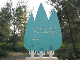 Trải Nghiệm Biển Trà Cổ - Móng Cái 3