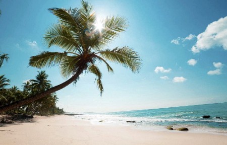 chương trình Biển 30 tháng 4 Năm 2025