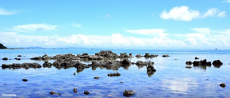 Thiên đường nghỉ dưỡng Khởi Hành Thứ 6 Hàng Tuần