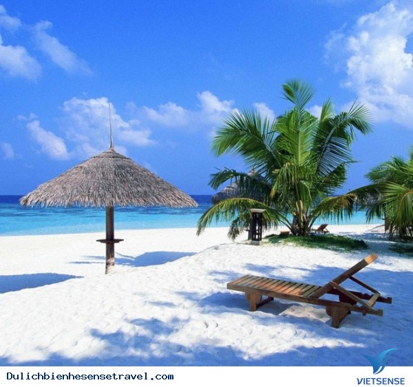 Biển Hội An– Du Ngoạn vùng Tứ Hải - Ảnh 6 Biển Hội An– Du Ngoạn vùng Tứ Hải - Ảnh 6