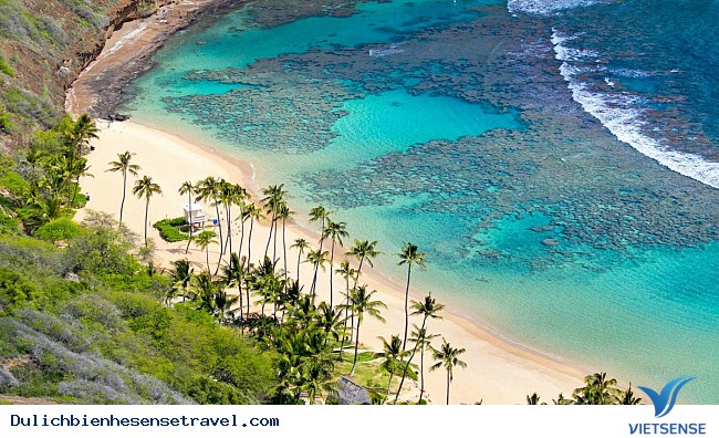 16 thiên đường thăm quan, trải nghiệm
 biển miền Trung hút hồn Lữ khách
 năm 2025 - Ảnh 12