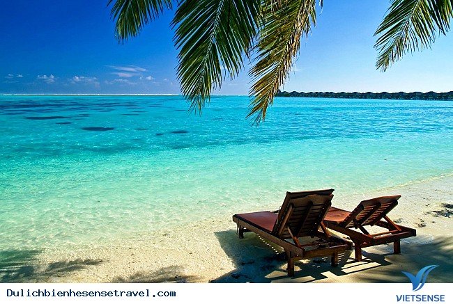 Top 10 thiên đường thăm quan, trải nghiệm
biển miền nam hot nhất hè 2025 - Ảnh 15 Top 10 thiên đường thăm quan, trải nghiệm
biển miền nam hot nhất hè 2025 - Ảnh 15