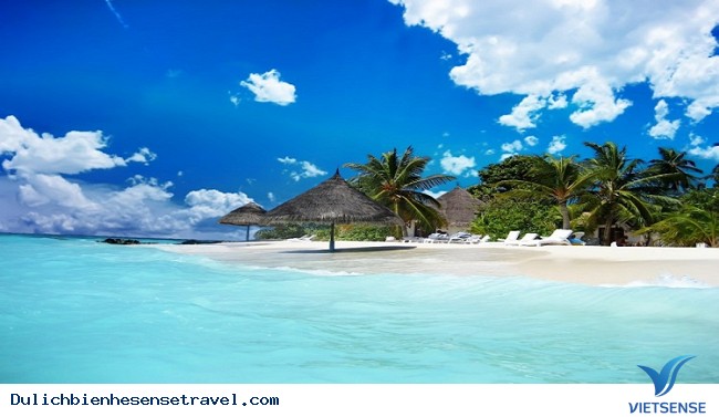 Top 10 thiên đường thăm quan, trải nghiệm
biển miền nam hot nhất hè 2025 - Ảnh 7 Top 10 thiên đường thăm quan, trải nghiệm
biển miền nam hot nhất hè 2025 - Ảnh 7