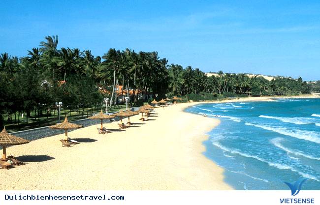 Biển Mỹ Khê - Những Điều Bạn Chưa Biết - Ảnh 3 Biển Mỹ Khê - Những Điều Bạn Chưa Biết - Ảnh 3