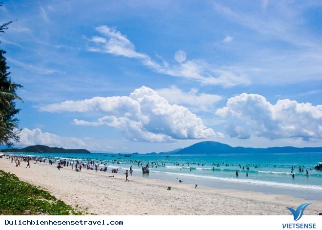 Biển Trà Cổ Và Những Cái Nhất - Ảnh 1 Biển Trà Cổ Và Những Cái Nhất - Ảnh 1