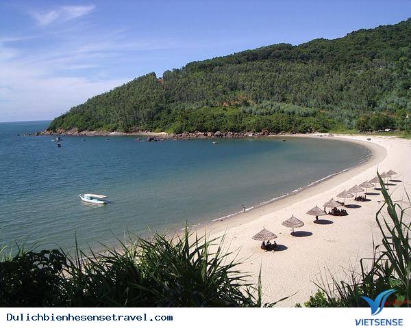 Biển Trà Cổ Và Những Cái Nhất - Ảnh 7 Biển Trà Cổ Và Những Cái Nhất - Ảnh 7