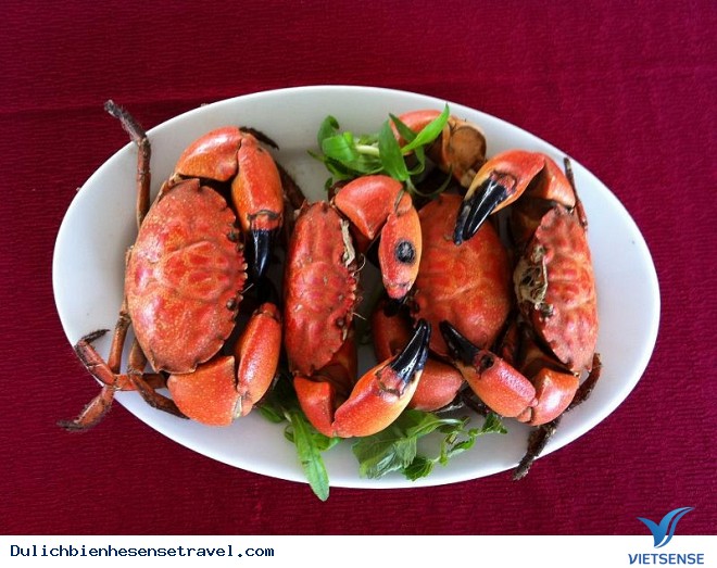 Đi Biển Trà Cổ Ăn Gì - Ảnh 3