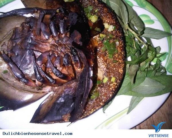 Đi Biển Trà Cổ Ăn Gì - Ảnh 5