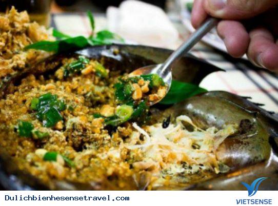 Gỏi Sam Ngon Khó Cưỡng Ở Cát Bà - Ảnh 2 Gỏi Sam Ngon Khó Cưỡng Ở Cát Bà - Ảnh 2