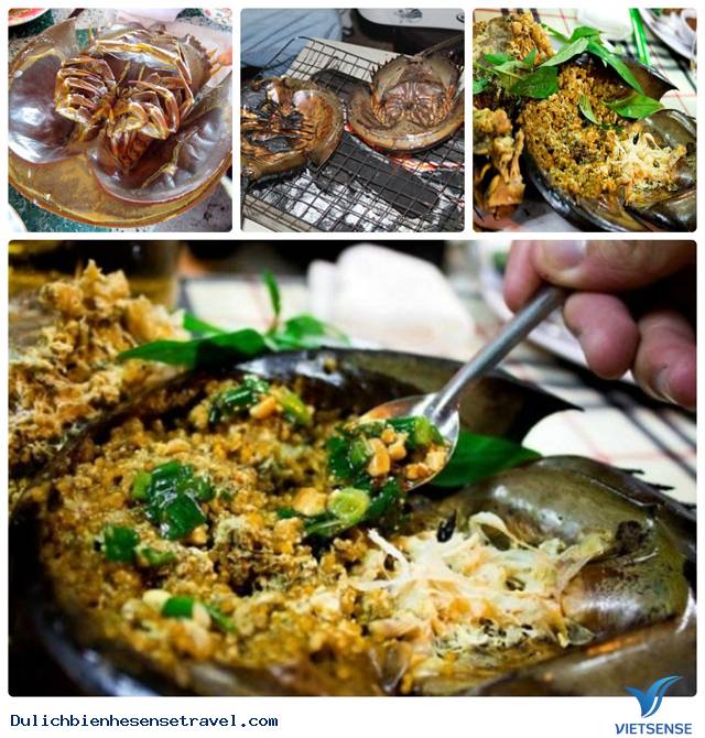 Gỏi Sam Ngon Khó Cưỡng Ở Cát Bà - Ảnh 1 Gỏi Sam Ngon Khó Cưỡng Ở Cát Bà - Ảnh 1