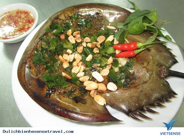 Gỏi Sam Ngon Khó Cưỡng Ở Cát Bà - Ảnh 4 Gỏi Sam Ngon Khó Cưỡng Ở Cát Bà - Ảnh 4