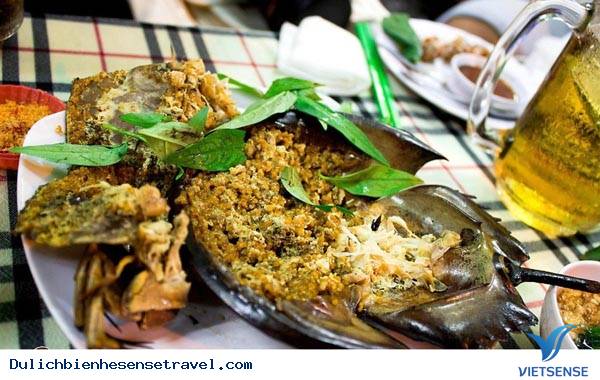 Gỏi Sam Ngon Khó Cưỡng Ở Cát Bà - Ảnh 3 Gỏi Sam Ngon Khó Cưỡng Ở Cát Bà - Ảnh 3