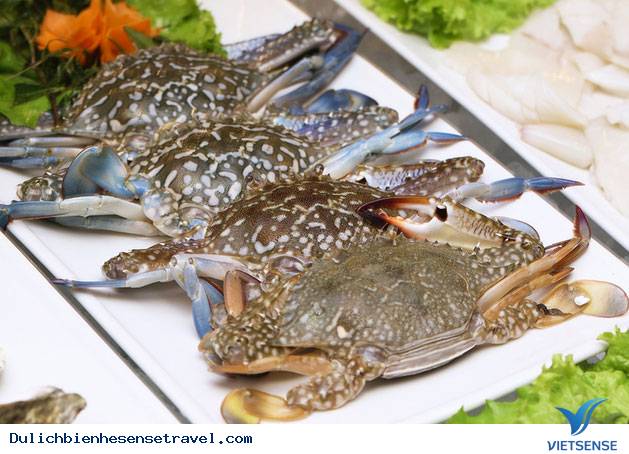 Hải sản tươi sống - Ảnh 2 Hải sản tươi sống - Ảnh 2