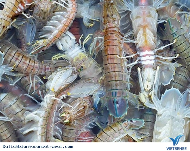 Hải sản tươi sống - Ảnh 1 Hải sản tươi sống - Ảnh 1