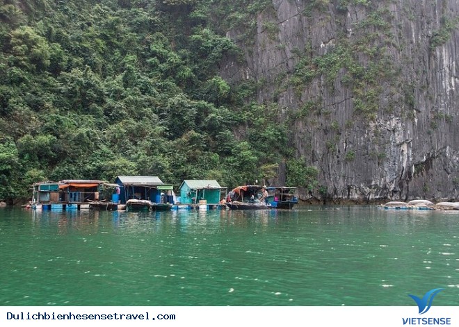 Khám Phá 4 Ngôi Làng Xinh Đẹp Trên Đảo Cát Bà - Ảnh 2