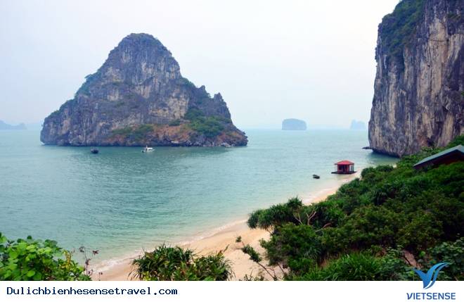 Quảng Ninh Đẩy Mạnh hành trình Phát Huy Lợi Thế Biển - Ảnh 1