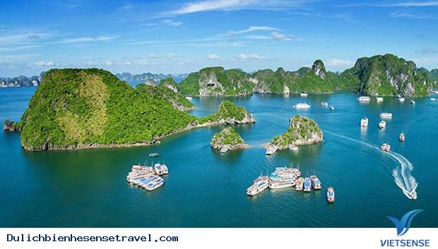 Quảng Ninh Đẩy Mạnh hành trình Phát Huy Lợi Thế Biển - Ảnh 5