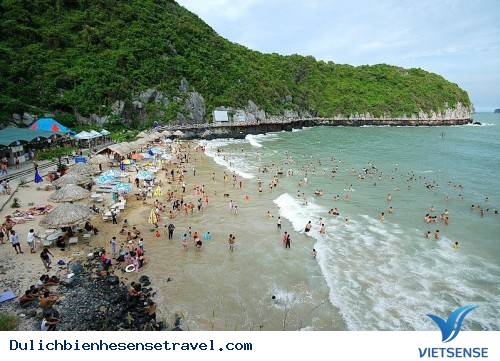 Biển Cát Bà Hải Phòng - Ảnh 1