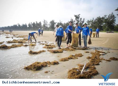 Cô Tô - điểm thăm quan Cộng Đồng Lý Tưởng - Ảnh 3 Cô Tô - điểm thăm quan Cộng Đồng Lý Tưởng - Ảnh 3