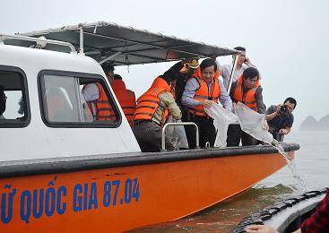 Đảo Cát Bà Tổ Chức Lễ Cầu Ngư, Ra Quân Vụ Cá Nam 2014 - Ảnh 4