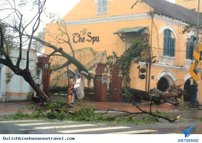 Dự đoán những cơn thịnh nộ tiếp theo của các vị thần chạy ngang bờ biển Việt Nam. - Ảnh 2 Dự đoán những cơn thịnh nộ tiếp theo của các vị thần chạy ngang bờ biển Việt Nam. - Ảnh 2