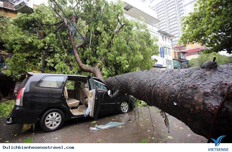 Dự đoán những cơn thịnh nộ tiếp theo của các vị thần chạy ngang bờ biển Việt Nam. - Ảnh 5 Dự đoán những cơn thịnh nộ tiếp theo của các vị thần chạy ngang bờ biển Việt Nam. - Ảnh 5