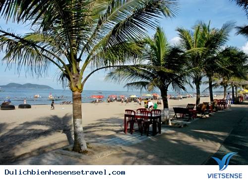 hành trình Biển Cửa Lò Tham Quan Nghề Nướng Cá Độc Đáo - Ảnh 1 hành trình Biển Cửa Lò Tham Quan Nghề Nướng Cá Độc Đáo - Ảnh 1