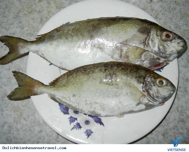 hành trình Cửa Lò: Những Món Ăn Ngon Khó Cưỡng (P1) - Ảnh 4