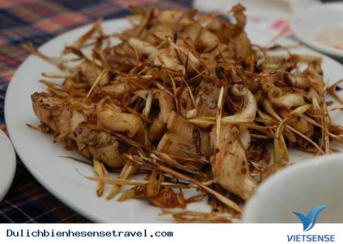 hành trình Cửa Lò: Những Món Ăn Ngon Khó Cưỡng (P1) - Ảnh 5