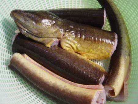 hành trình Cửa Lò: Những Món Ăn Ngon Khó Cưỡng (P2) - Ảnh 5 hành trình Cửa Lò: Những Món Ăn Ngon Khó Cưỡng (P2) - Ảnh 5