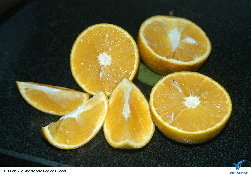 hành trình Cửa Lò: Những Món Ăn Ngon Khó Cưỡng (P3) - Ảnh 4 hành trình Cửa Lò: Những Món Ăn Ngon Khó Cưỡng (P3) - Ảnh 4