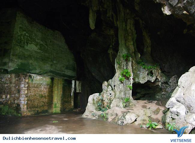 Hang Quân Y Trong Rừng Cát Bà - Ảnh 8 Hang Quân Y Trong Rừng Cát Bà - Ảnh 8