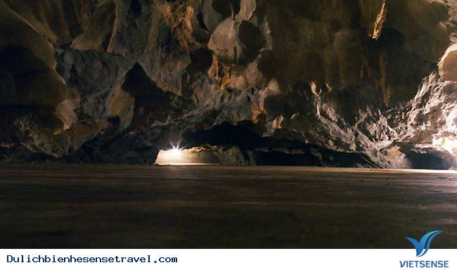 Hang Quân Y Trong Rừng Cát Bà - Ảnh 6 Hang Quân Y Trong Rừng Cát Bà - Ảnh 6