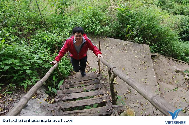 Hang Quân Y Trong Rừng Cát Bà - Ảnh 2 Hang Quân Y Trong Rừng Cát Bà - Ảnh 2