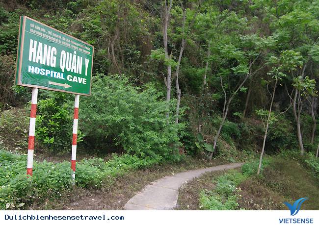 Hang Quân Y Trong Rừng Cát Bà - Ảnh 1 Hang Quân Y Trong Rừng Cát Bà - Ảnh 1