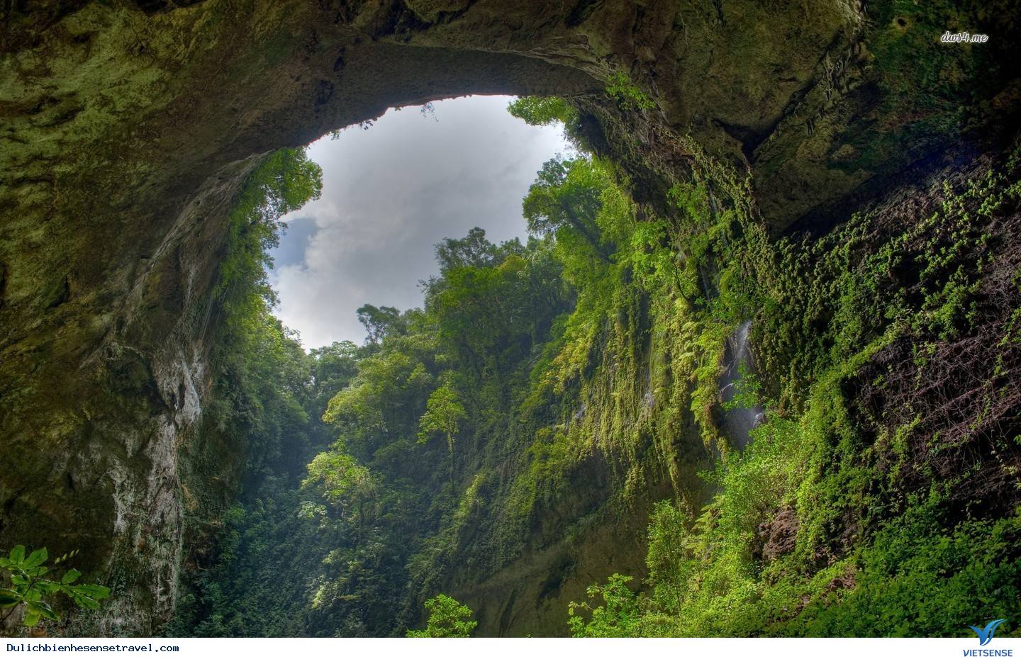 Hang Sơn Đoòng Vẻ Đẹp Tiềm Ẩn Của Việt Nam - Ảnh 4