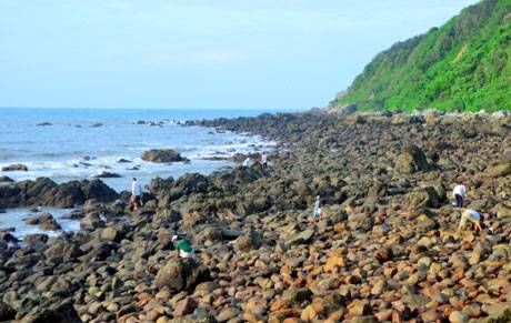 Khám Phá Vẻ Đẹp Bãi Biển Sơn Hào - Ảnh 2 Khám Phá Vẻ Đẹp Bãi Biển Sơn Hào - Ảnh 2