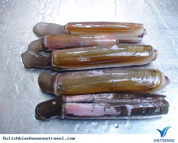 Những Đặc Sản Hấp Dẫn Trên Đảo Cô Tô ( P2 ) - Ảnh 3