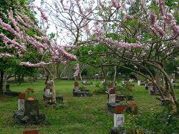 Những Địa điểm thăm quan Côn Đảo Hấp Dẫn - Ảnh 7 Những Địa điểm thăm quan Côn Đảo Hấp Dẫn - Ảnh 7