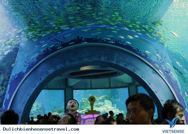 Viện Hải Dương Học Nha Trang Viện Hải Dương Học Nha Trang