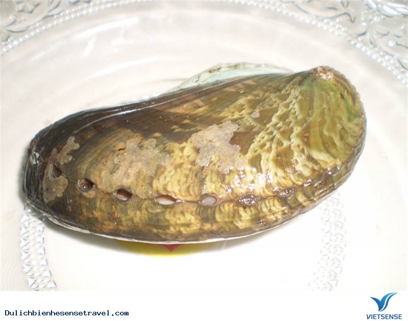 Những Món Ăn Ngon Hấp Dẫn Trên Đảo Cô Tô ( P1 ) - Ảnh 2 Những Món Ăn Ngon Hấp Dẫn Trên Đảo Cô Tô ( P1 ) - Ảnh 2