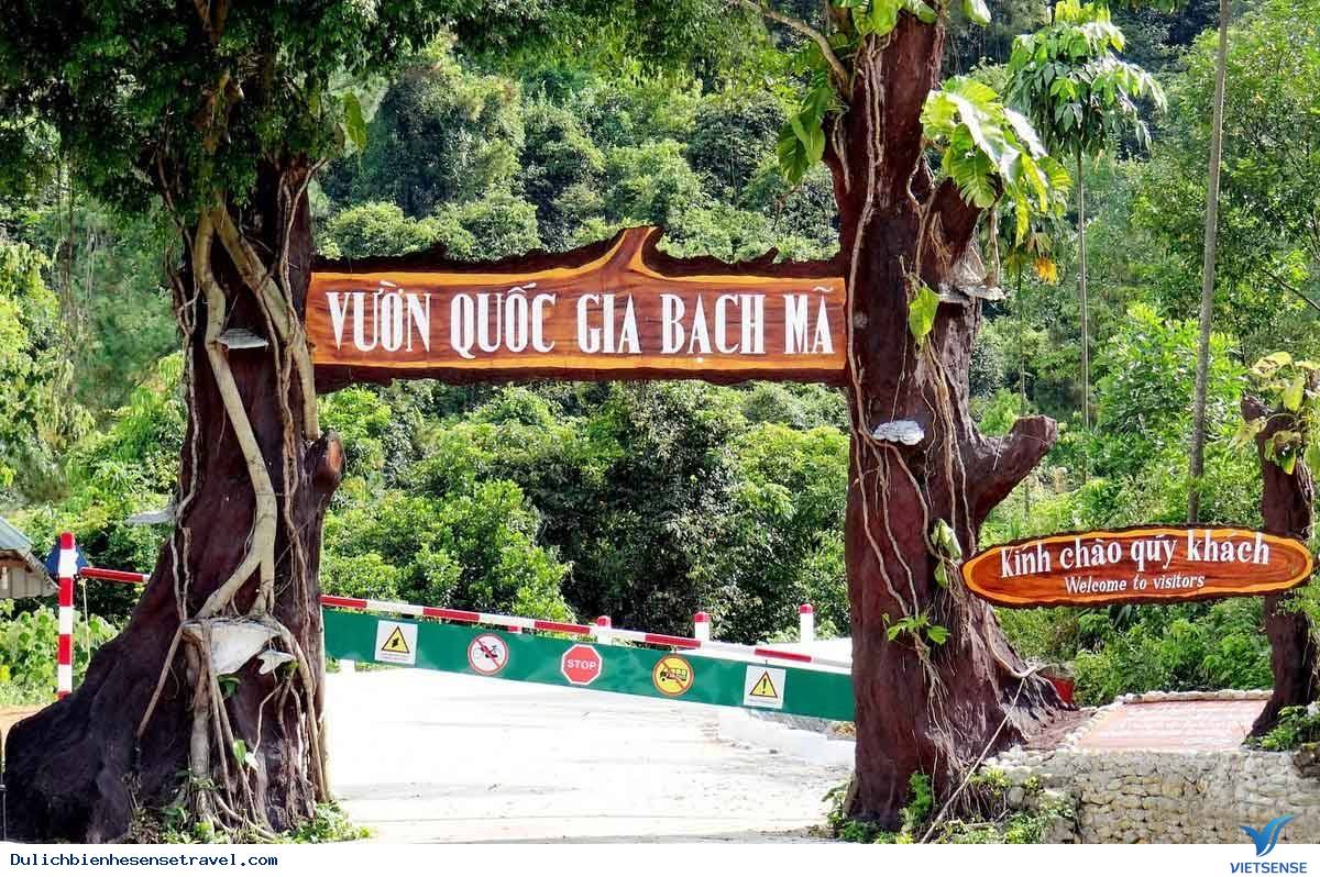 Tham quan vườn quốc gia Bạch Mã