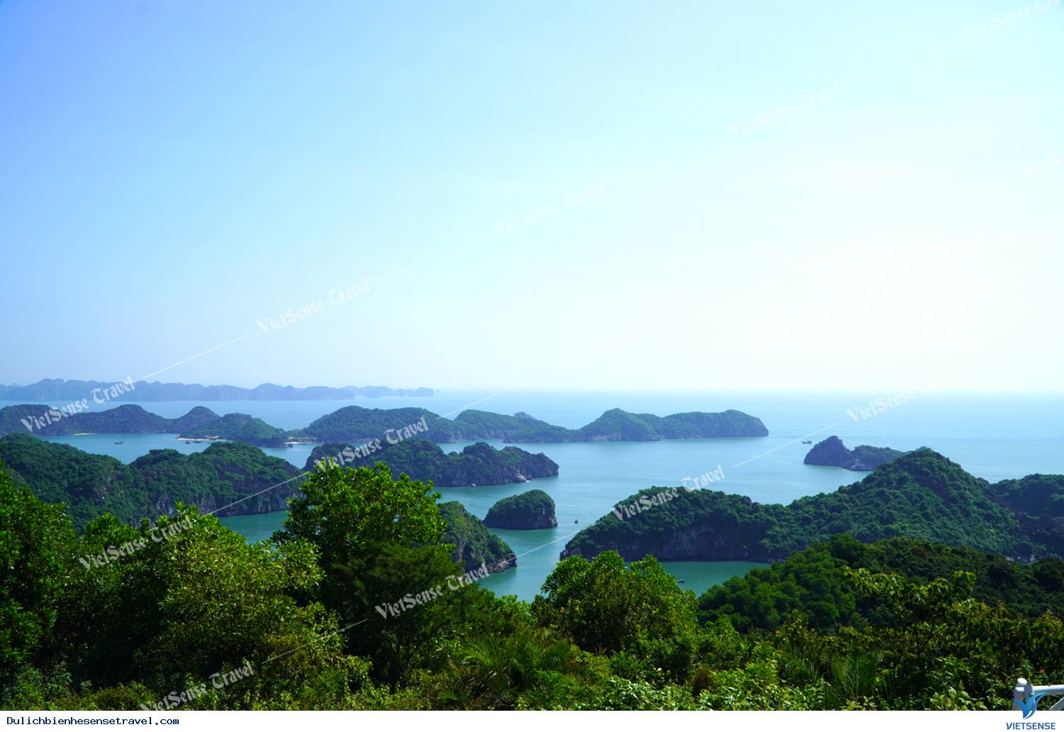 Tự túc: Tự túc: