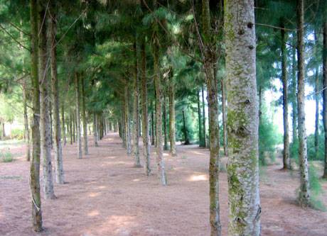 Về Vân Đồn Thăm Đảo Ngọc Vừng - Ảnh 4